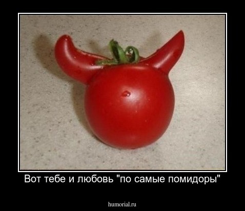 Вот тебе и любовь "по самые помидоры"