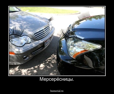 Мерсерéсницы.