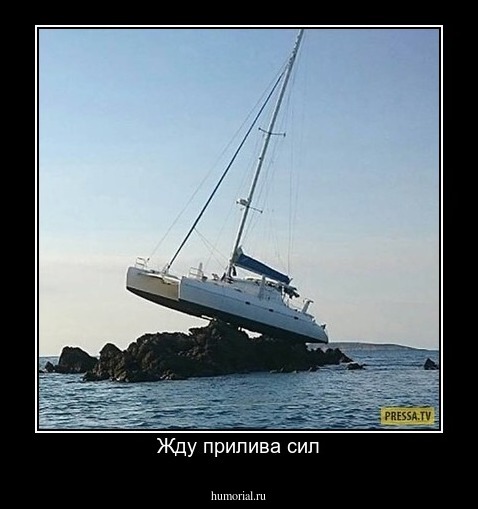 Жду прилива сил