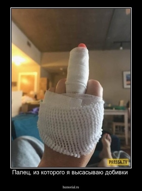 Палец, из которого я высасываю добивки 