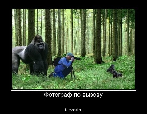 Фотограф по вызову