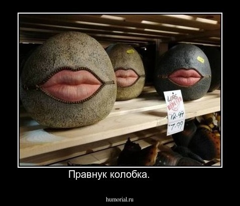 Правнук колобка.       