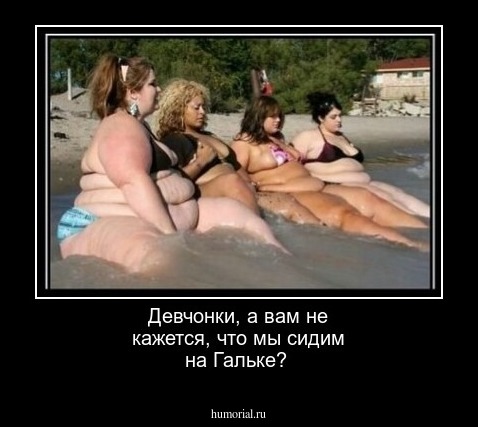 Девчонки, а вам не кажется, что мы сидим на Гальке?