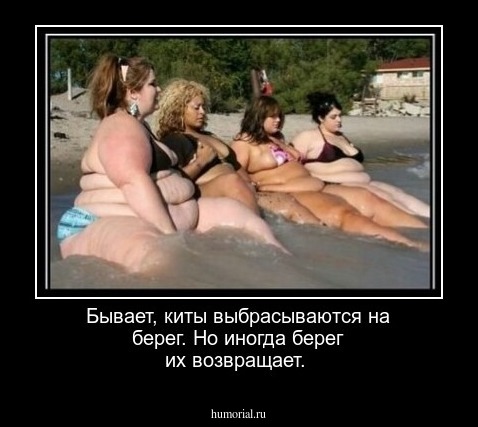 Бывает, киты выбрасываются на берег. Но иногда берег их возвращает.