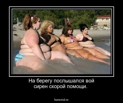 На берегу послышался вой сирен скорой помощи.
