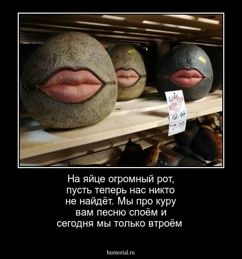 На яйце огромный рот, пусть теперь нас никто не найдёт. Мы про куру вам песню споём и сегодня мы только втроём