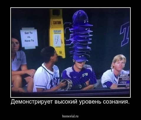 Демонстрирует высокий уровень сознания.