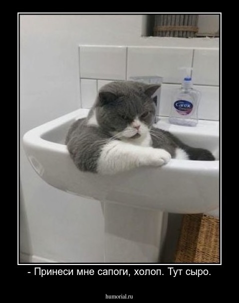 - Принеси мне сапоги, холоп. Тут сыро.