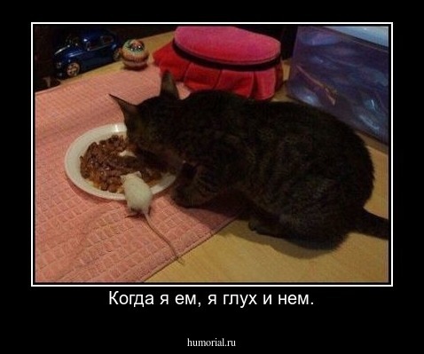 Когда я ем, я глух и нем.
