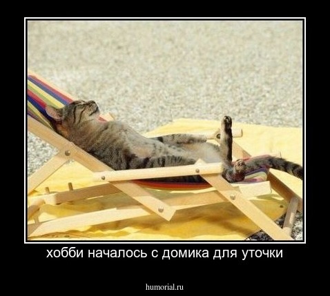 хобби началось с домика для уточки