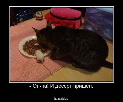 - Оп-па! И десерт пришёл.