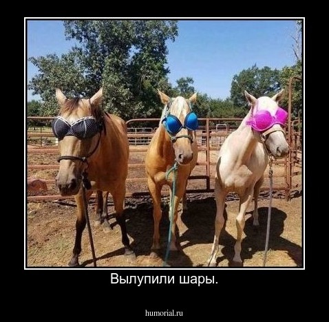 Вылупили шары.