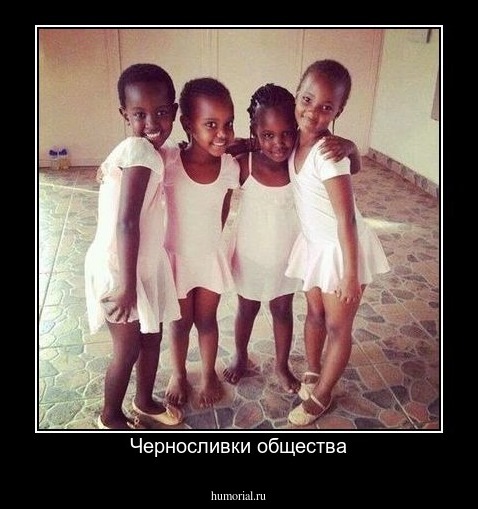 Черносливки общества