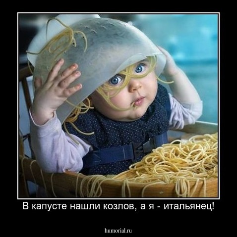 В капусте нашли козлов, а я - итальянец!