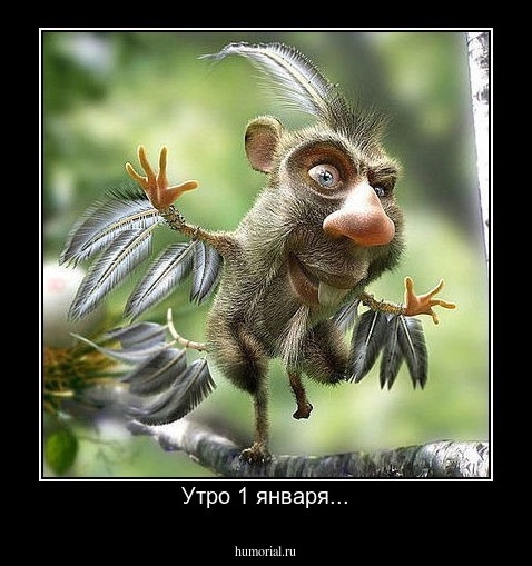 Утро 1 января...