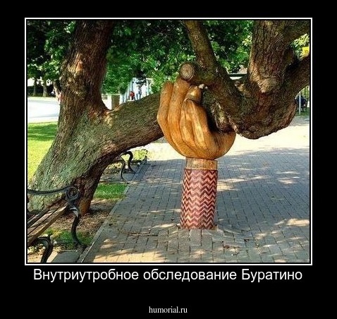 Внутриутробное обследование Буратино