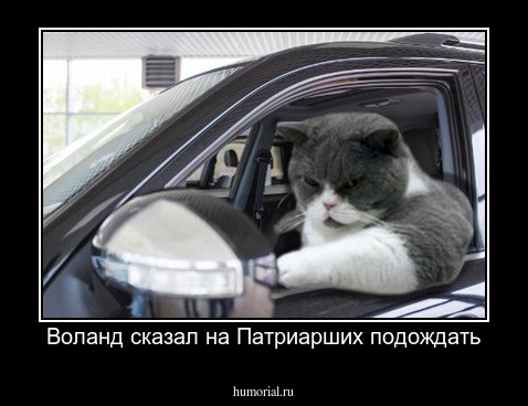 Воланд сказал на Патриарших подождать