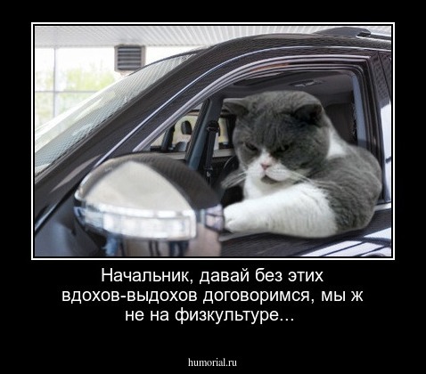 Начальник, давай без этих вдохов-выдохов договоримся, мы ж не на физкультуре...