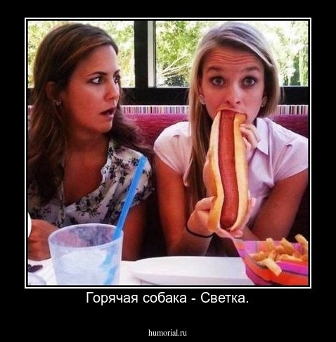 Горячая собака - Светка.