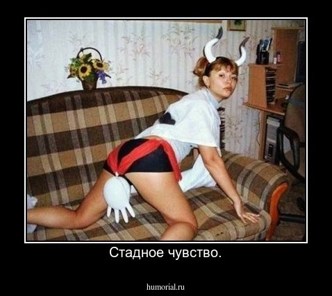 Стадное чувство.