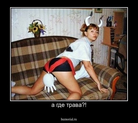 а где трава?!