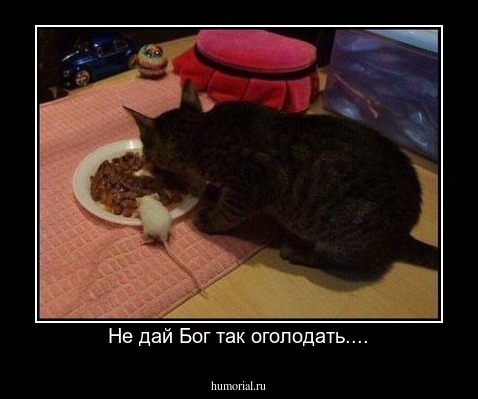 Не дай Бог так оголодать....