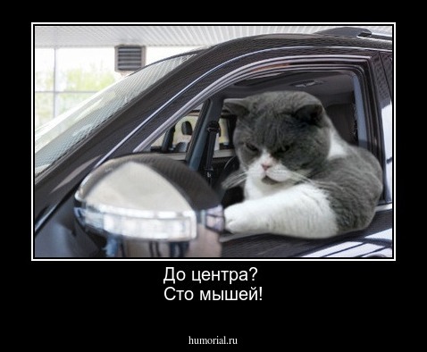 До центра? 
Сто мышей!