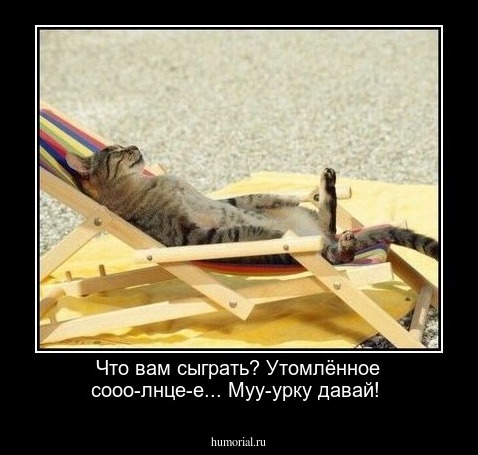 Что вам сыграть? Утомлённое сооо-лнце-е... Муу-урку давай!