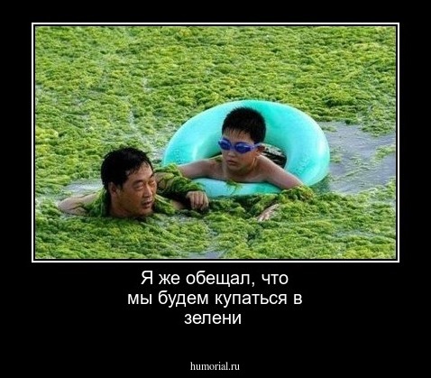 Я же обещал, что мы будем купаться в зелени