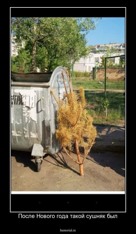 После Нового года такой сушняк был
