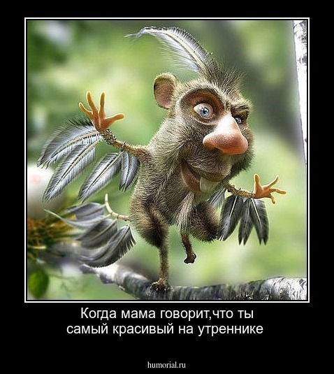 Когда мама говорит,что ты самый красивый на утреннике