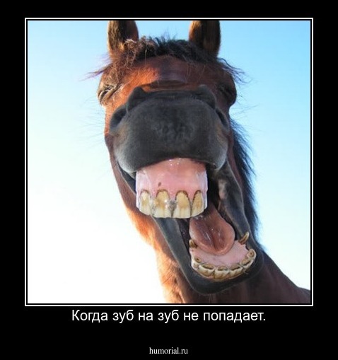 Когда зуб на зуб не попадает.
