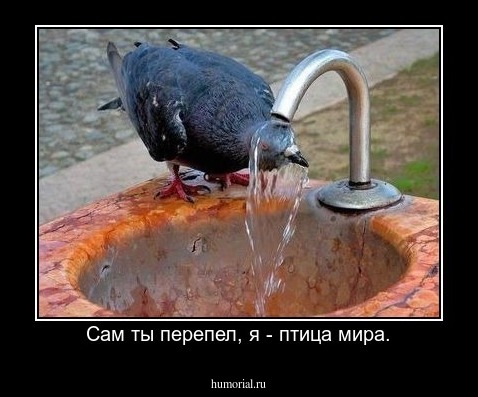Сам ты перепел, я - птица мира.