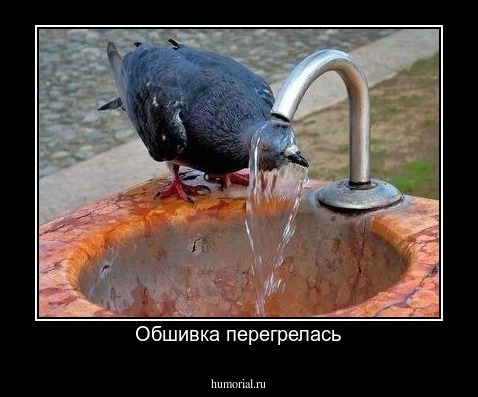 Обшивка перегрелась