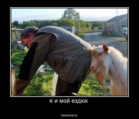 я и мой ездюк 