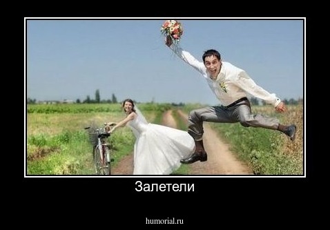Залетели