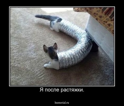 Я после растяжки.