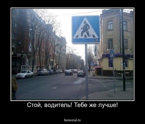 Стой, водитель! Тебе же лучше!