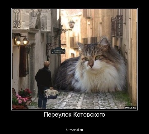 Переулок Котовского