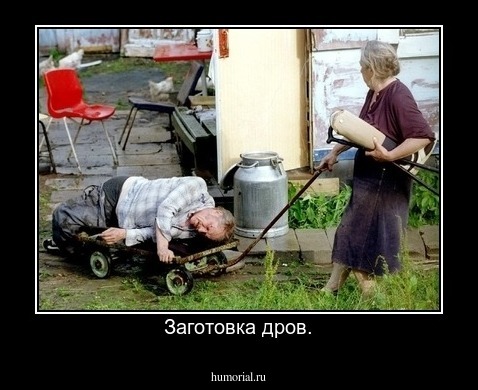 Заготовка дров.
