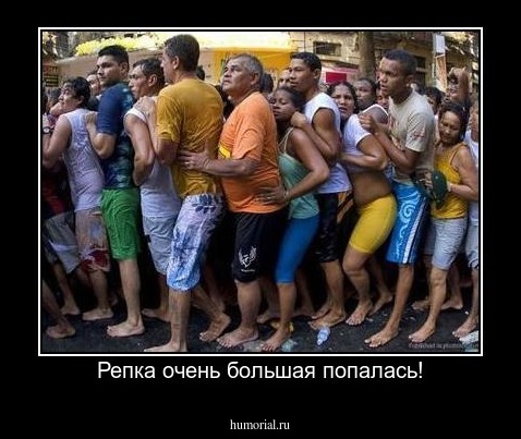 Репка очень большая попалась!
