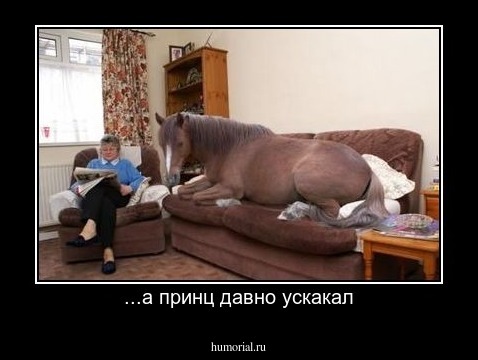 ...а принц давно ускакал