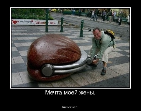 Мечта моей жены.
