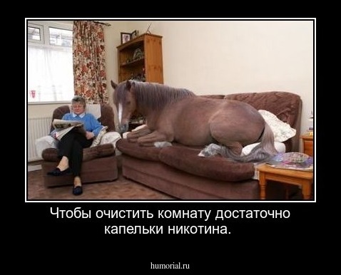 Чтобы очистить комнату достаточно капельки никотина.