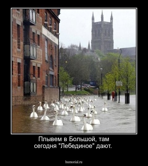 Плывем в Большой, там сегодня "Лебединое" дают.  