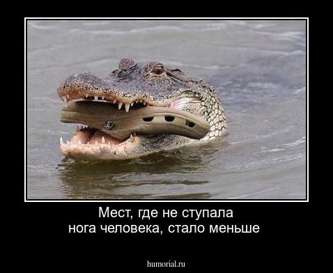 Мест, где не ступала нога человека, стало меньше 