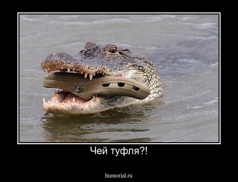 Чей туфля?!