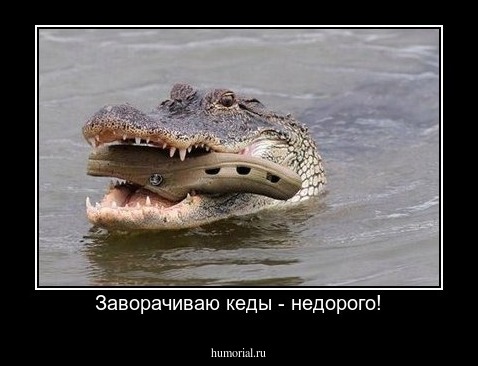 Заворачиваю кеды - недорого!