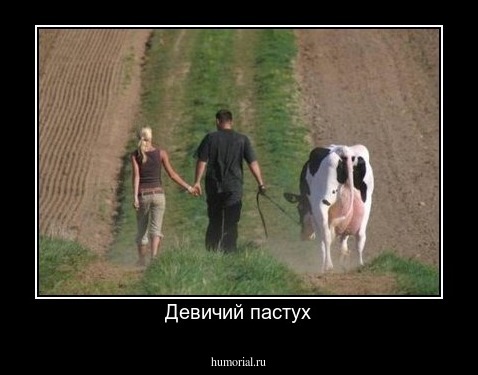 Девичий пастух
