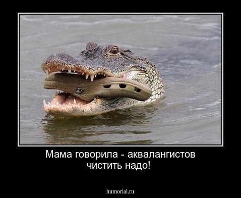 Мама говорила - аквалангистов чистить надо!
